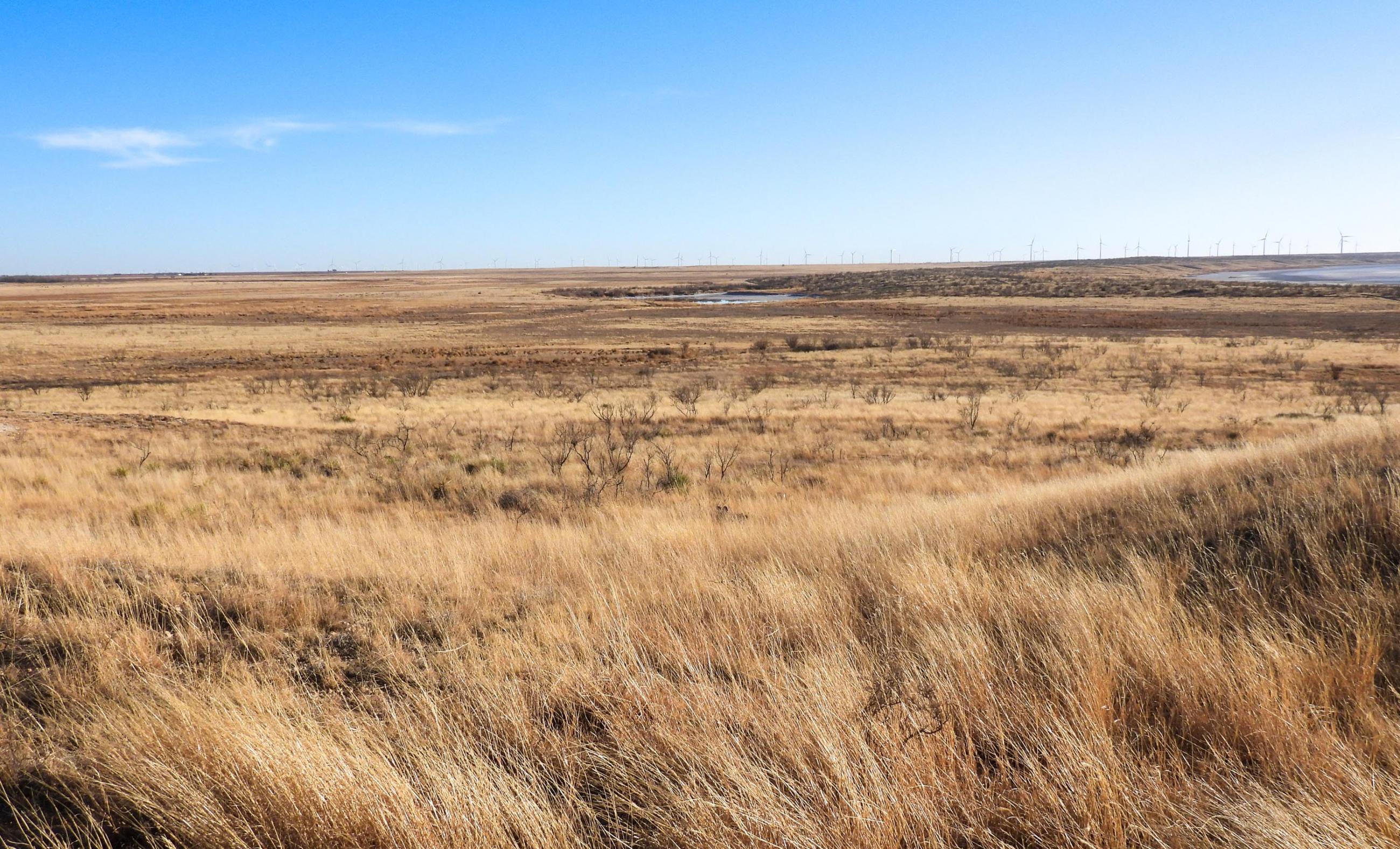 Tahoka Lake Ranch Chas S. Middleton